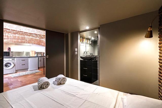 Duplex Climatise Dans Un Monument Historique Toulouse Exterior foto